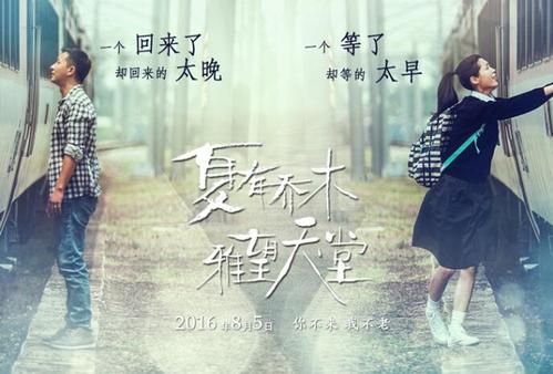 武蔵大学会计文凭证书